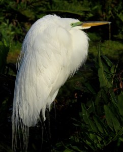 "Is it morning yet??"