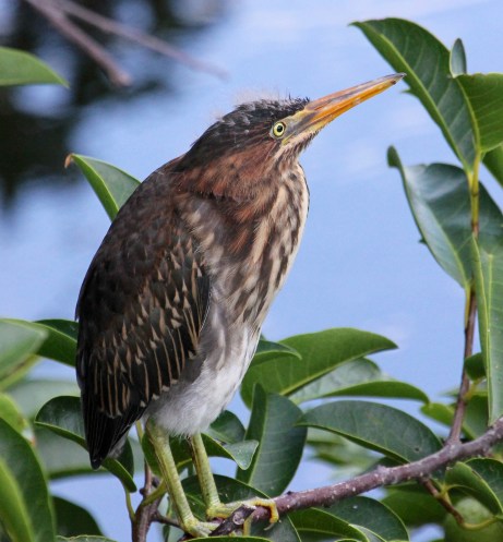 I hope I look as handsome as my dad when I grow up!