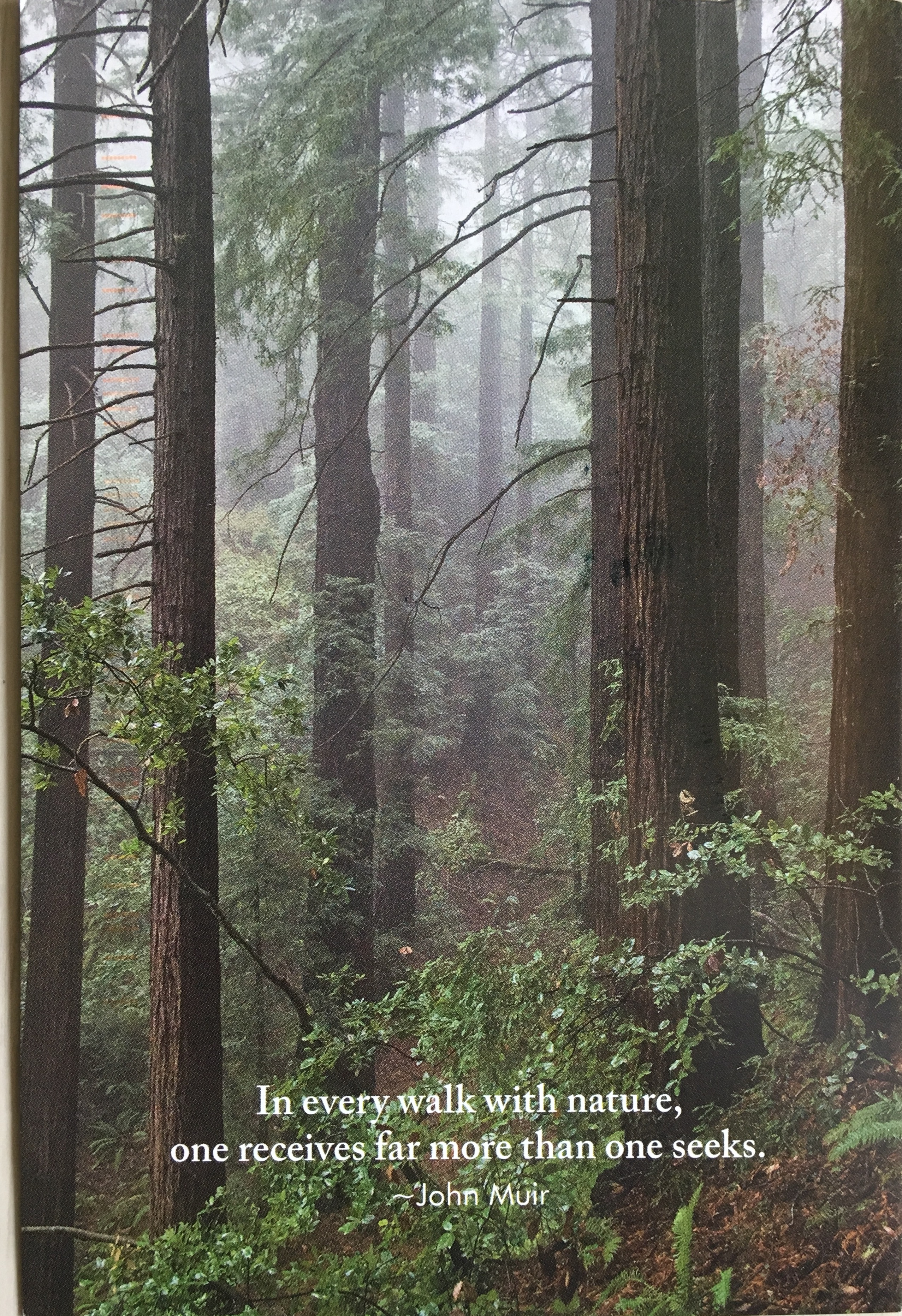 In every walk with nature . . . | Birder's Journey, image size:2554x3727