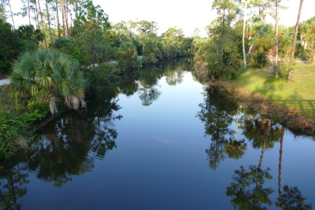 D6FD883E-38E3-417B-A3C1-D0F2AAE5D8B7