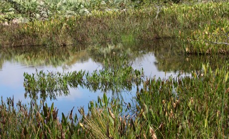 859F2BC1-2240-4D3D-9B6B-7A1A5389B39B_1_201_a