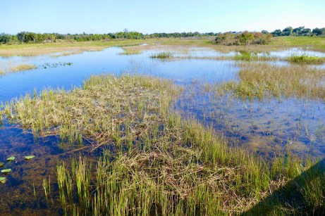 D45398AE-17B5-4ED3-9A1D-7A35E7898DAE_1_201_a