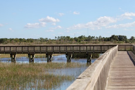 DB214AE1-BC9D-4CD2-BC71-4A8E7BE09105_1_201_a