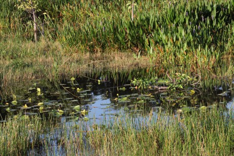 17EA92E5-CBC8-4A7B-9DE9-722ED2F148F9