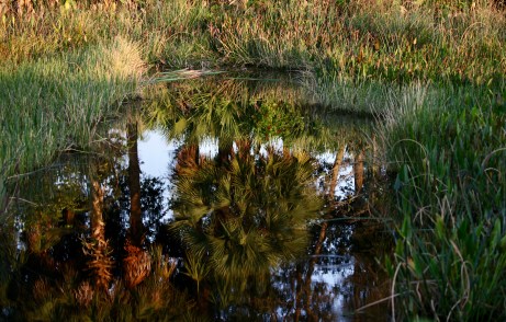 235786E5-C821-46BA-803C-72352B159D11_1_201_a