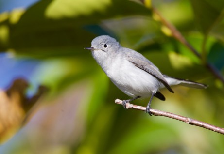 5E0CA291-CBA2-4973-A970-EB8B2578BD1E_1_201_a