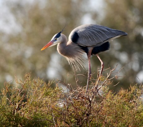 A6898AF3-9D6F-4377-9957-FFD835FAAE76_1_201_a