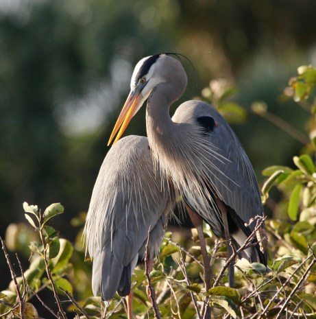 28FF4622-E1F0-447C-8447-F79B26D898AE_1_201_a