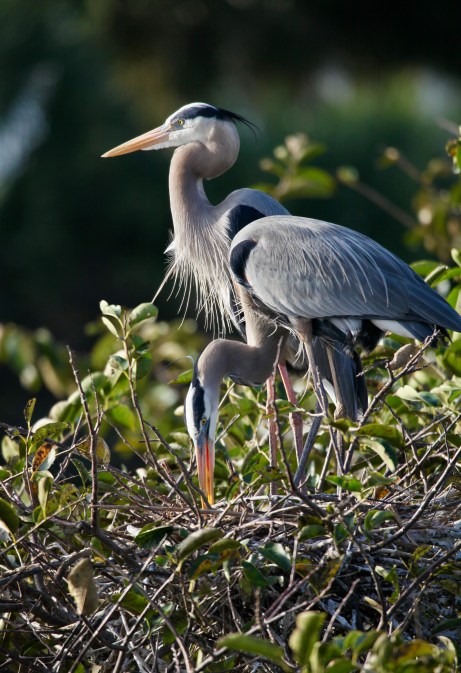 54CCA900-7498-48A8-A01F-08C93EAEACE5_1_201_a