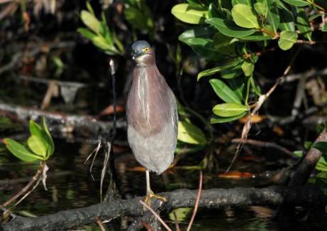 6A2CB120-A6A7-4D85-B1EE-C63FBEB79C31_1_201_a