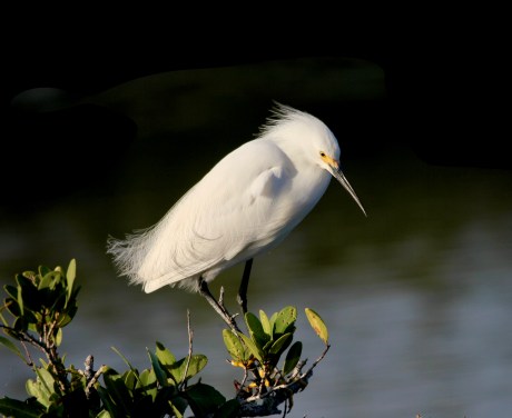 12C26F9F-87DB-4241-97D8-5CF616AEB5B9_1_201_a