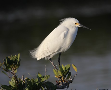 89455C85-7BCB-4F2A-8DB3-59EA16FA04C7_1_201_a