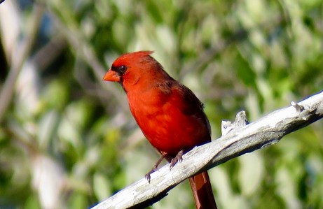 14ACBB44-843F-41E0-BE13-48A692CED8C3_1_201_a