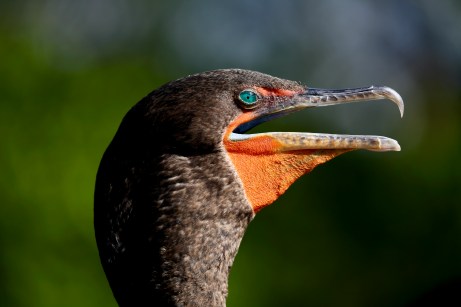 07DB2E68-176B-493A-AEA7-48B7EA95D14A_1_201_a