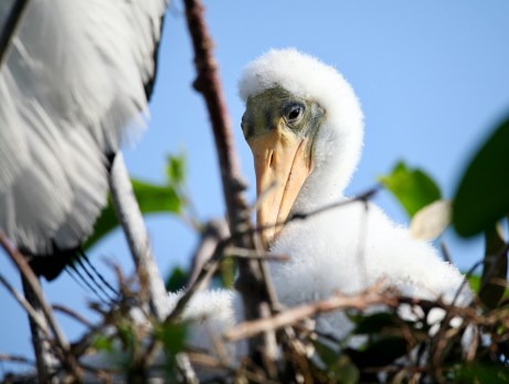 2E134D4B-51C4-4656-B910-180B63108B19_1_201_a