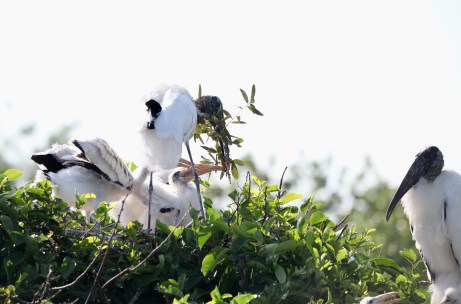 6DA88226-F675-4C74-840C-6A0D36917EAC_1_201_a